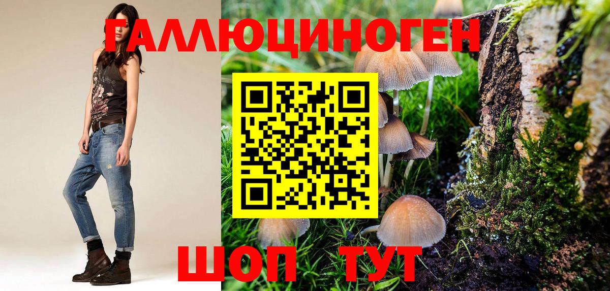 Галлюциногенные грибы мухоморы  Вход с VPN  Заринск 